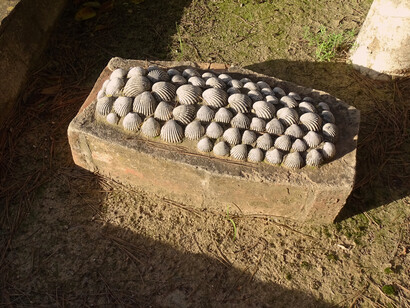 Tumba cubierta de conchas en el cementerio inglés de Málaga, España. Foto: Felipe Sérvulo