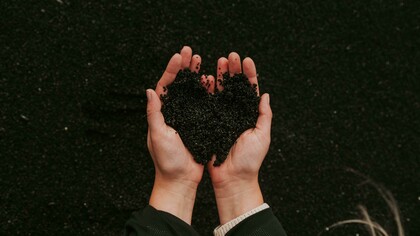 A ideia de que o ambiente afeta a saúde não é nova. Hipócrates, o pai da medicina, já dizia que “quem quiser estudar medicina corretamente deve primeiro considerar as estações do ano e as qualidades dos ares, das águas e dos lugares.” Hoje, essa visão holística retorna sob novas bases, com dados que mostram que a degradação ambiental está na raiz de epidemias modernas, da proliferação de doenças crônicas e até de emergências sanitárias globais