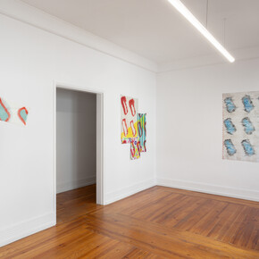 Claude Viallat, Peintures, exhibition view. Courtesy of Document Gallery