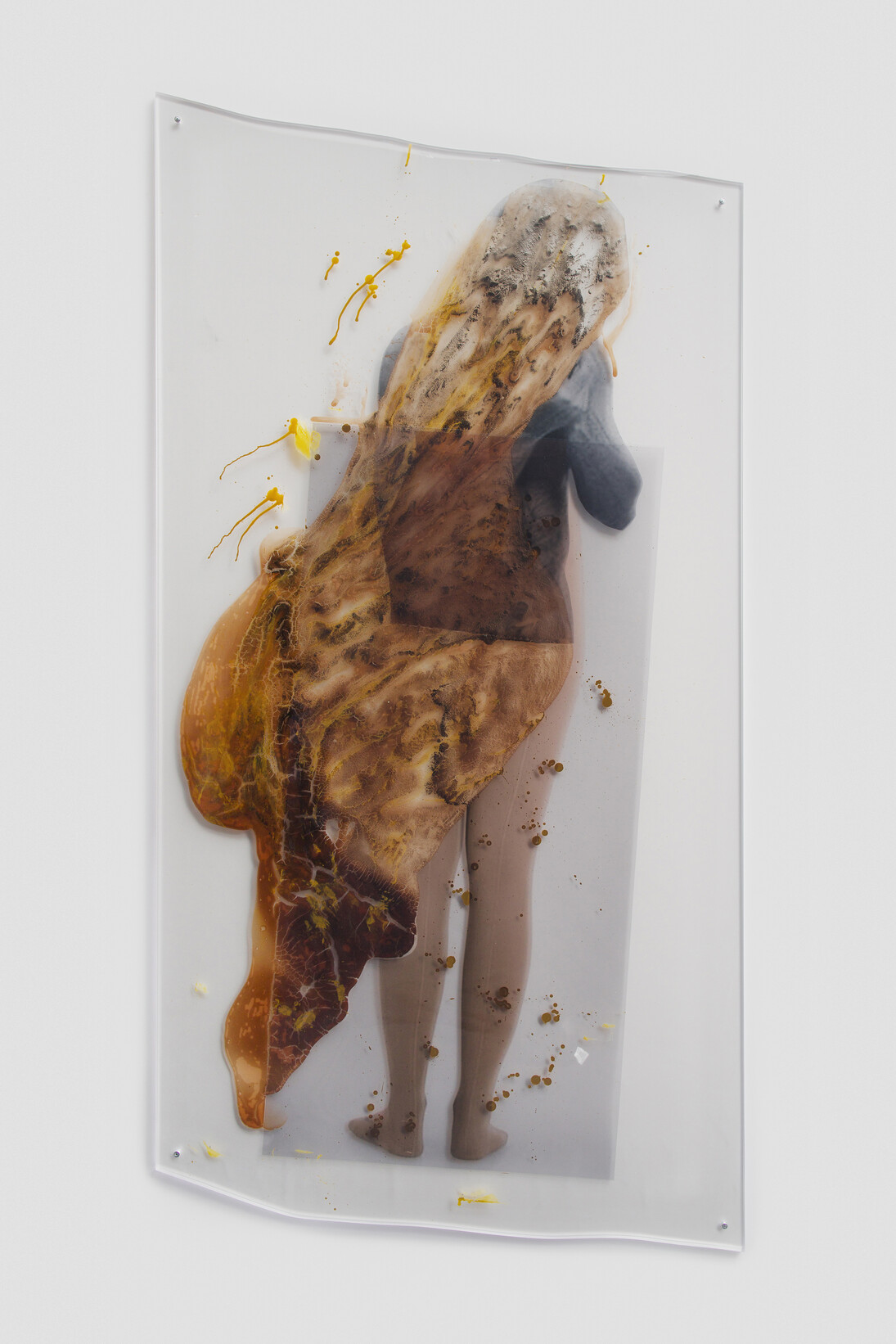 Sara Greenberger Rafferty, Untitled, 2014, acrylic polymer and inkjet prints on acetate on Plexiglas, and hardware, Irregular: 78 x 40 x 1/2 inches (198.1 x 101.6 x 1.3 cm)