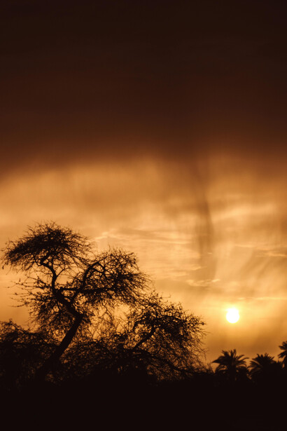 Como o Saara Verde influenciou a migração de povos antigos e a formação de civilizações