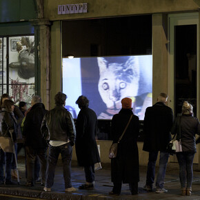 Exterior, Tintype gallery, Essex Road (project), 2014. Photo-Cameron Leadbetter. Courtesy Tintype