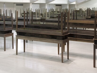 Doris Salcedo, Plegaria Muda 3