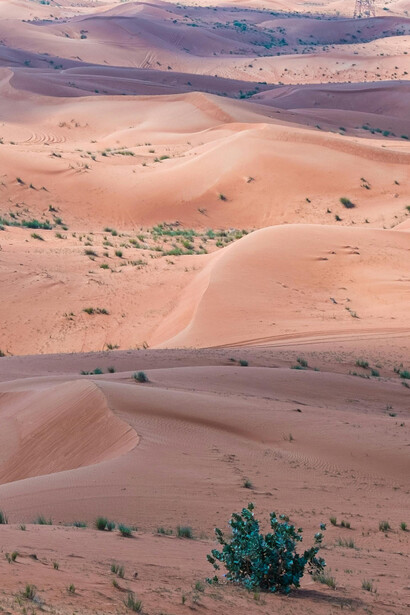 The Sahara desert remains central to Morocco’s diplomacy 