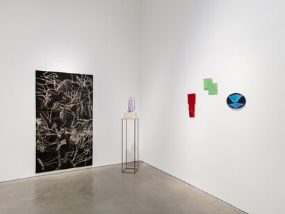 Various artists, Trait transference, exhibition view. Courtesy of 303 Gallery