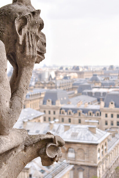 Una de las enigmáticas gárgolas de Notre Dome contempla pensativa la ciudad