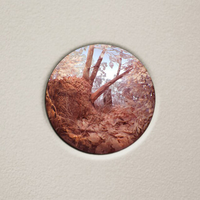 Forest (Pink), 2015, Wood, extruded styrene, acrylic, paper, ash, talc, starch, acrylite, vinyl film, copper, steel, lighting, BK7 glass, Interior box 18.5 x 12.75 x 11.5 inches. Diorama viewed through 2.75 inch window