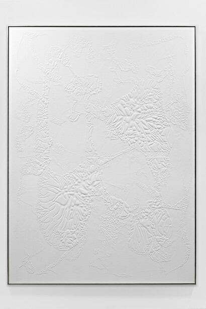 Santiago Taccetti, Untitled (Einstatzbereich Innen - Außen), Household acrylic on canvas, 200 x 145 x 3.5 cm, 2015