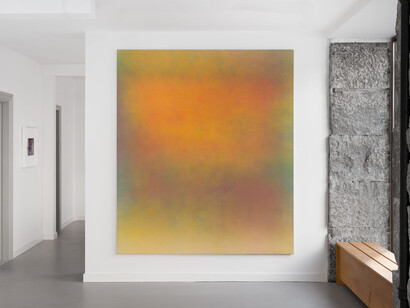 Birk Bjørlo, Waste land, exhibition view. Courtesy of Brigade Gallery 