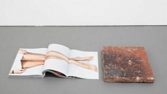 Elliman, Untitled (September Magazine), 2013