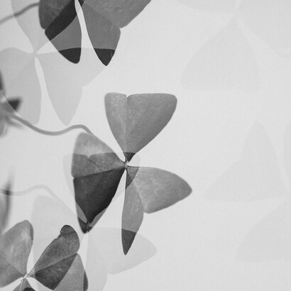 Un punto sciolto che ha disperso lo sciame, è lì che voglio tornare