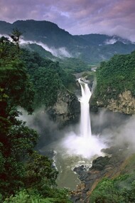 The Peruvian Amazon