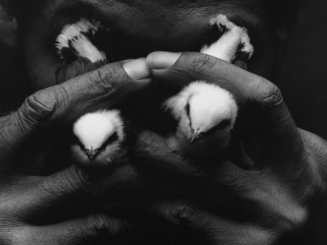 Mario Cravo Neto. Homem com lagrimas de passaro, 1992 [Man with bird tears] Courtesy of Daros Latinamerica Collection, Zürich. © Instituto Mario Cravo Neto / Instituto Moreira Salles