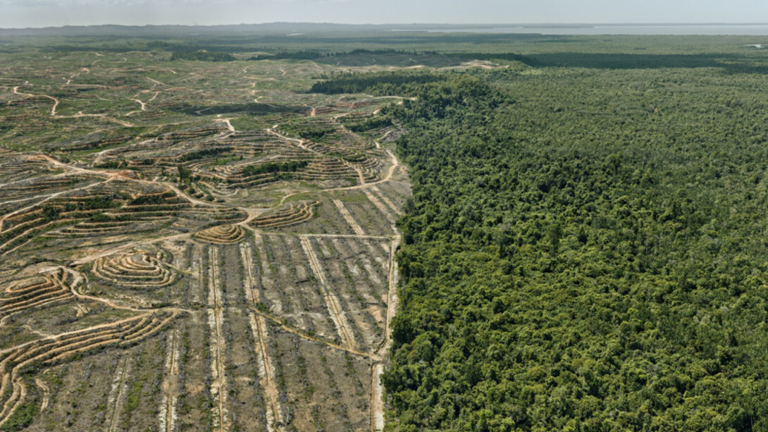 Anthropocene. Courtesy of Art Gallery of Ontario