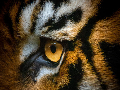 You need to define first what grit means to you