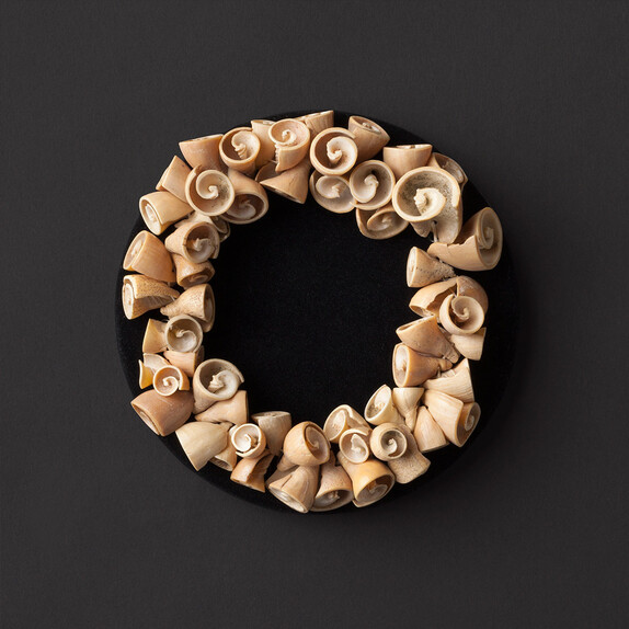 Shell Gallery | Meer