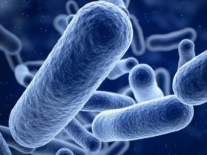 La parodontopatia è correlata all’intestino