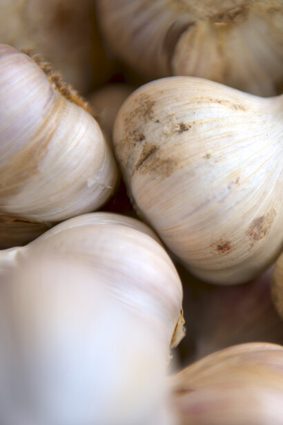 Treccia d'aglio