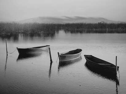 Three rowboats sit atop the still waters