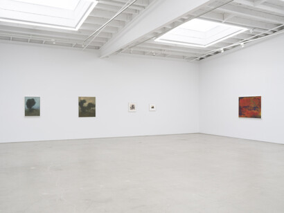 Richard Mayhew, Understory, exhibition view. Courtesy of Karma Gallery