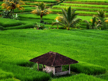 The appeal asks for support in mitigating the loss of environmental diversity