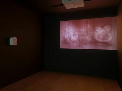 Walid Raad. Preface to the first English edition, installation view