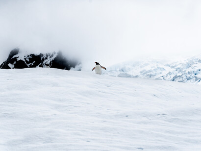 Negli ultimi 150 anni il riscaldamento globale ha più che compensato il raffreddamento avvenuto negli ultimi sei millenni