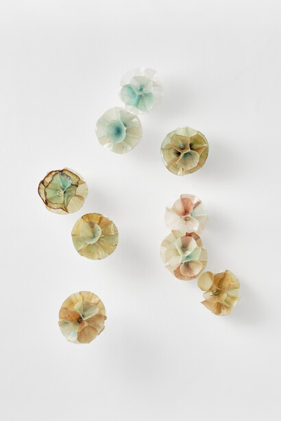 Georgia Munnik, Strangling fruit, 2026. Courtesy of Whatiftheworld 