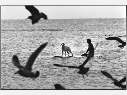 Elliott Erwitt, Japan, Enoshima, 2003, © Elliott Erwitt/Magnum Photos