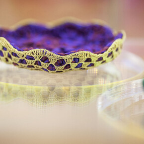 Vitórias Régias para Rio Cocó (Victoria amazonica lily pads for River Cocó)