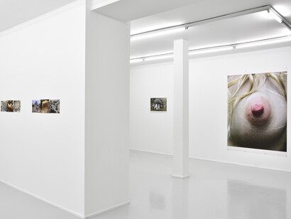 Leg, snails and peaches. Courtesy of Suzanne Tarasieve