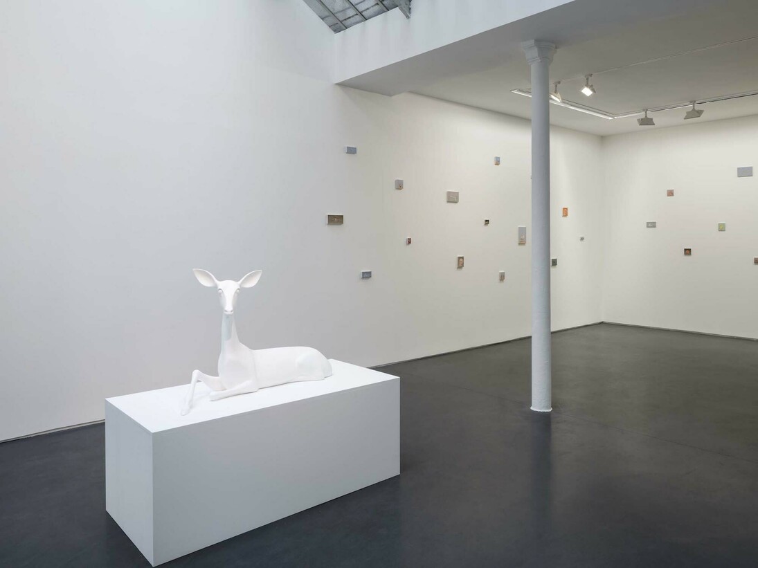 Miguel Branco, Spectres, Exhibition view. Courtesy of Jeanne Bucher Jaeger