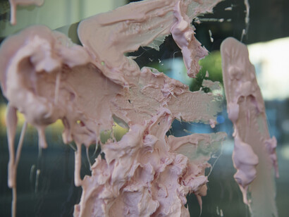 Jamie Fitzpatrick, Limitations identified, 2017.