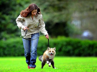 Una joven pasea a su mascota por el parque