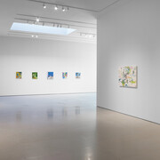 Tim Braden, The colouring garden, exhibition view. Courtesy of McClain Gallery