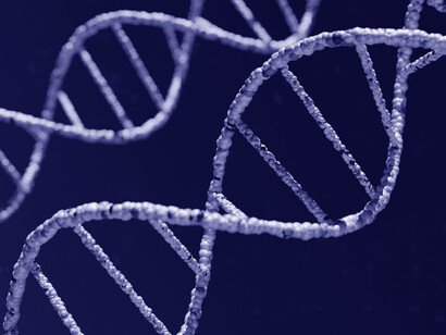 L'epigenetica studia i fenomeni contraddistinti solo da cambiamenti fenotipici (espressione del DNA), senza alcuna modifica della matrice genotipica