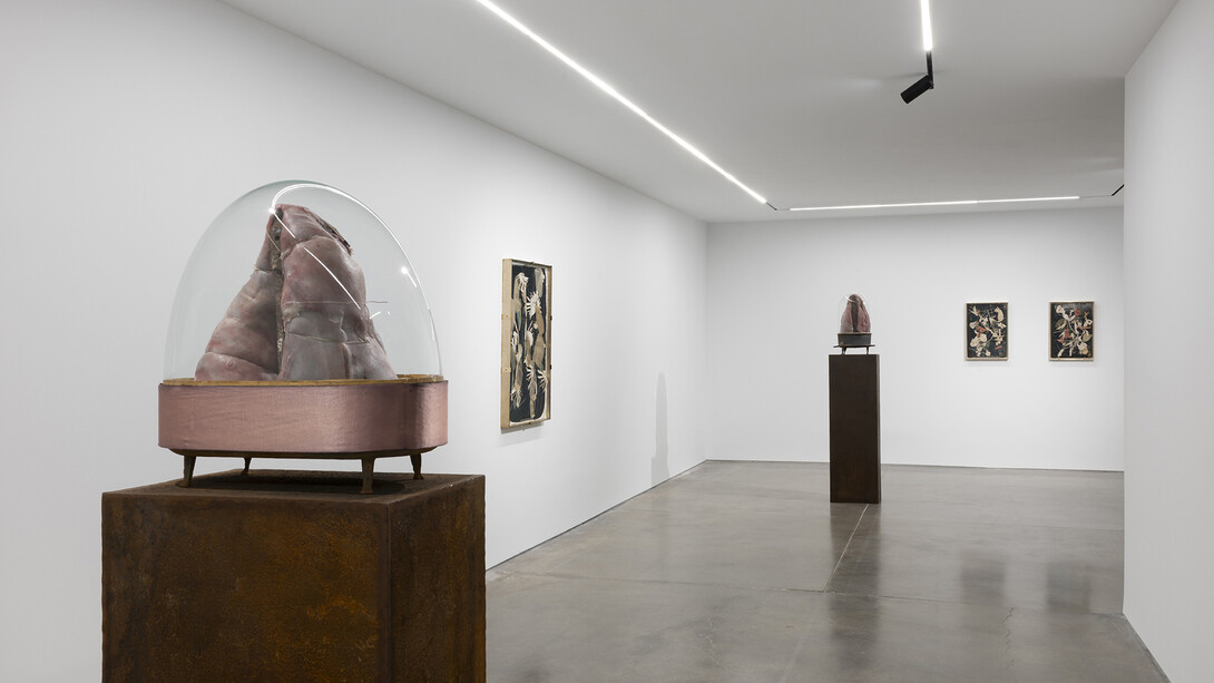 Berlinde De Bruyckere, Plunder, exhibition view. Courtesy of Pedro Cera