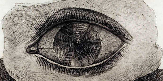 Max Ernst, Historie naturelle, 1926
© VG Bild-Kunst, Bonn 2014