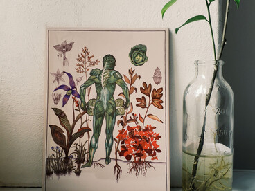 Um quadro de plantas e um corpo humano de costas. Ao lado, uma garrafa de vidro com uma planta