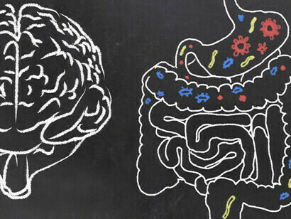 Der menschliche Körper ist ein Ökosystem, das nicht nur menschliche Zellen, sondern auch Bakterien enthält