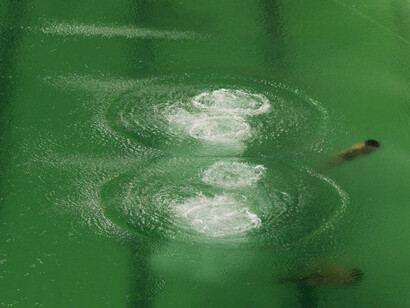 Sebastian Wells, Rio de Janeiro, 2016 · 08 · 10 - #6 (detail), 2016. Courtesy of Galerie Springer 