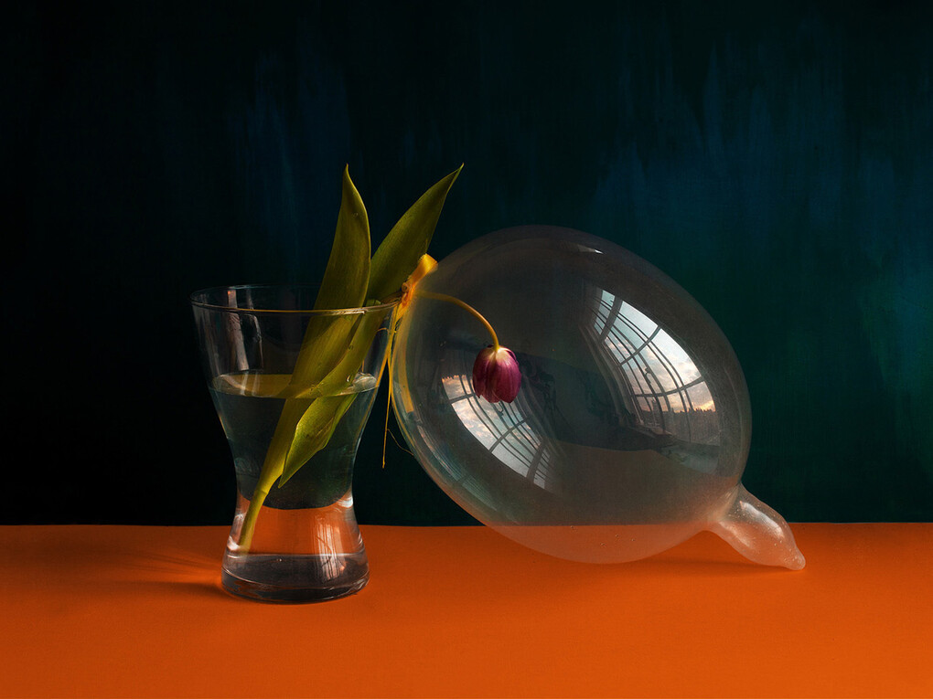 Giuseppe Lo Schiavo, Proserpina, Still life with condom,  2015