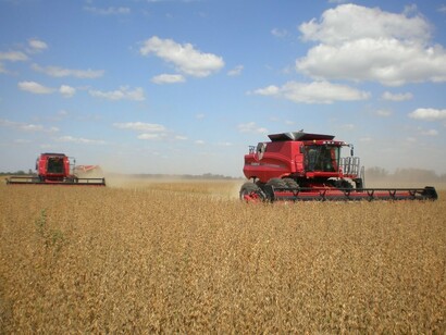 Campos de trigo a las afueras de Buenos Aires
