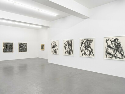 William Tucker, Charcoal Drawings
Installation view. Buchmann Galerie, 2017