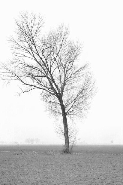 Paola de Pietri, Untitled, Questa Pianura series, 2014, Courtesy Galerie Les filles du calvaire