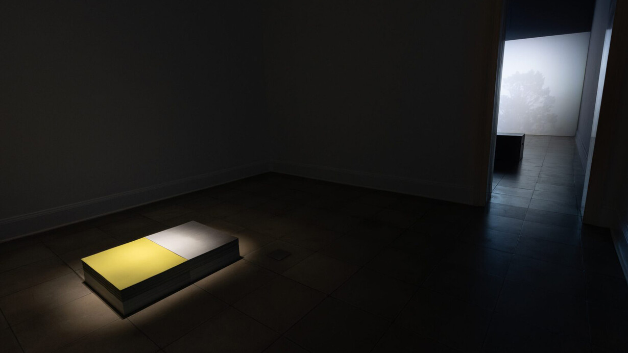 Luz María Bedoya, Otras partituras del agua, vista de exhibición. Cortesía de proyectoamil