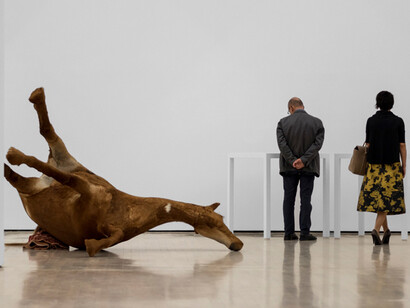 Allestimento mostra. Foto di F. Guerra