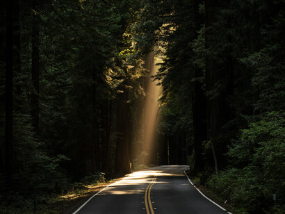 Un camino solitario donde recorrer emociones, navegar en el desconcierto entre huellas del inconsciente y destellos de intuición