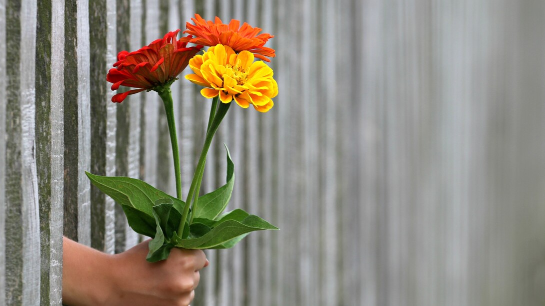 La primavera, uno splendido inizio
