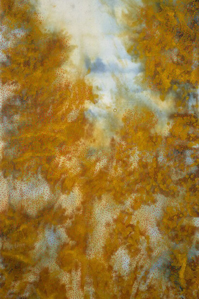 Judy Watson. Courtesy of Art Gallery of NSW